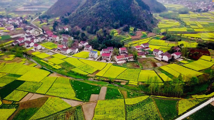 1615533540410111.jpg 图4_副本.jpg