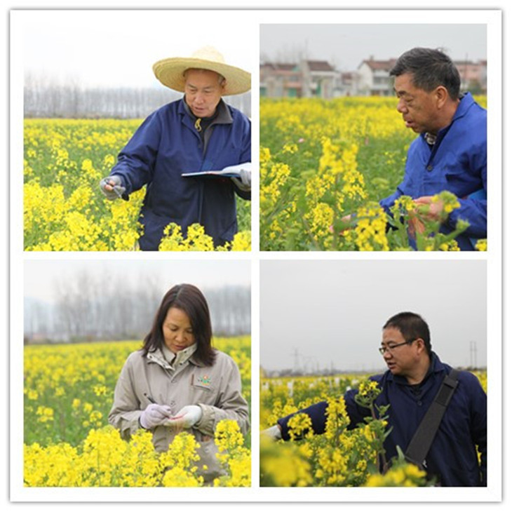 1617066133648780.jpg 1..jpg