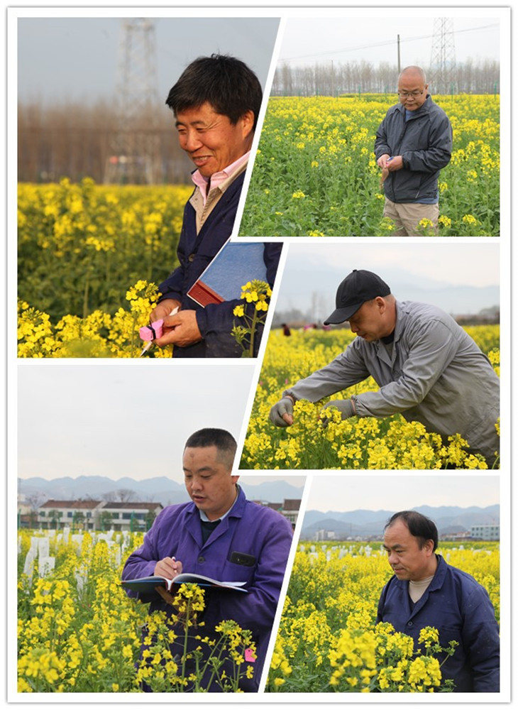 1617066149267423.jpg 2..jpg