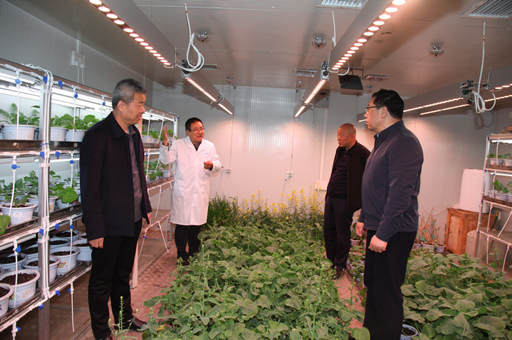 1617066997459309.jpg 1_副本.jpg