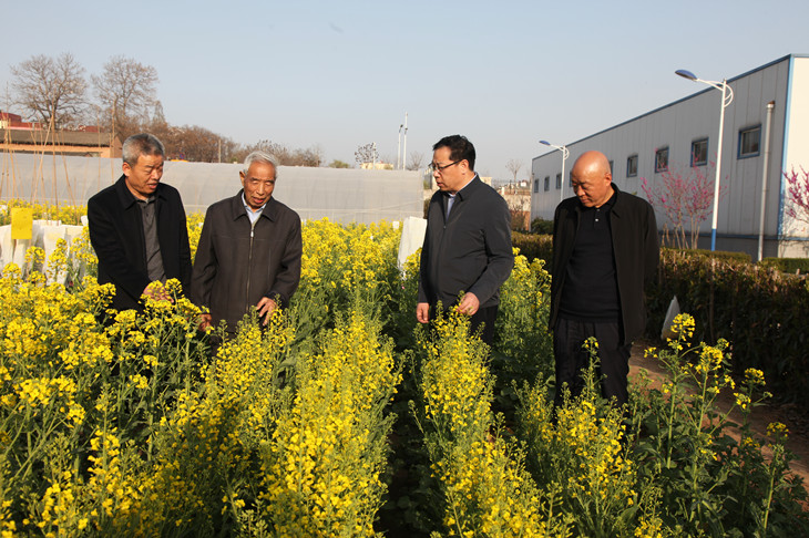 1617067051442140.jpg 4_副本.jpg