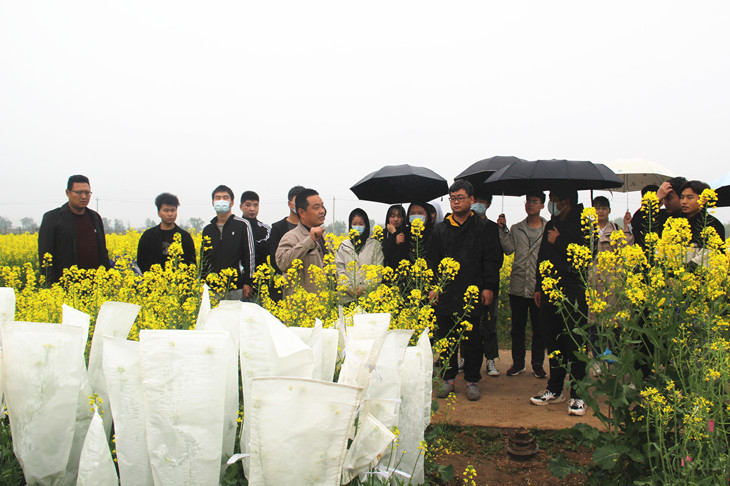 1617950899480529.jpg 1_副本.jpg