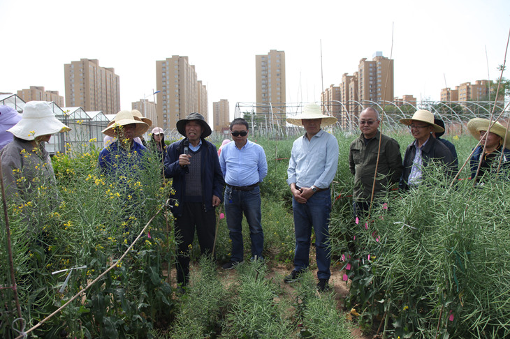 1620285956216820.jpg 1._副本.jpg