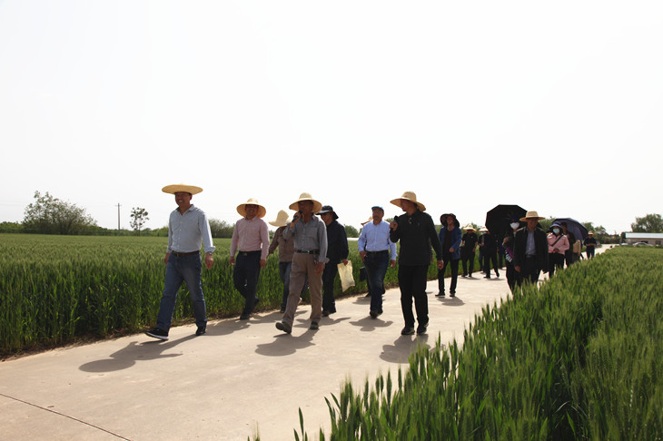 1620285971365598.jpg 2._副本.jpg