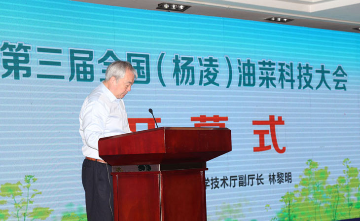 1620899106322435.jpg 1.jpg