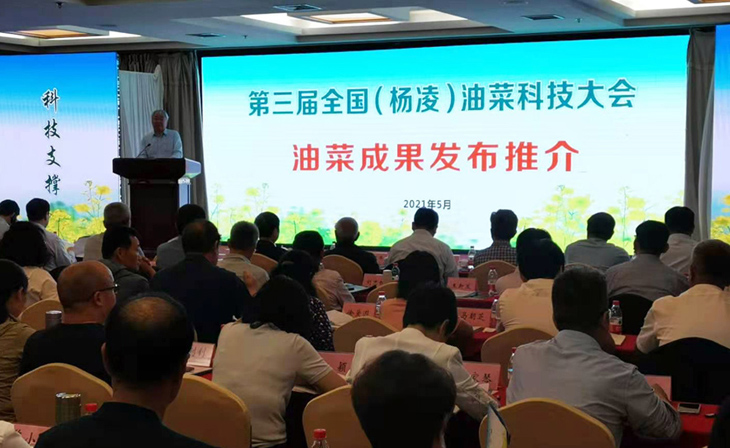 1620899120849143.jpg 2.jpg