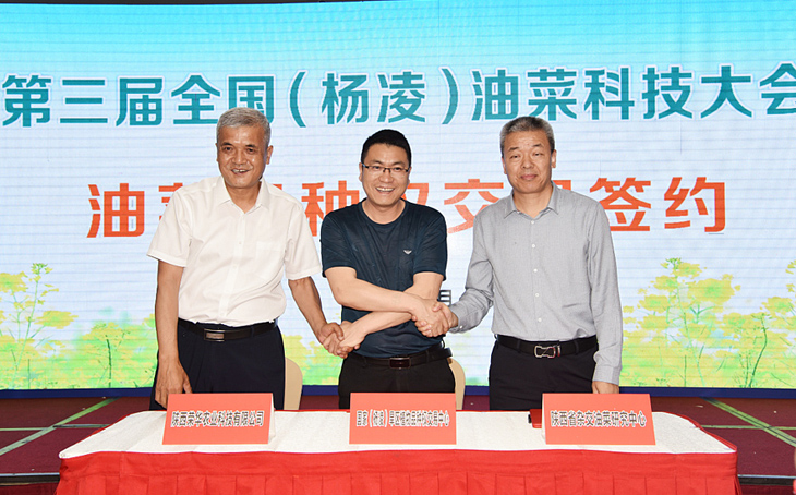 1620899141638370.jpg 3.jpg