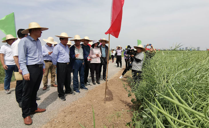 1620899181513844.jpg 5.jpg