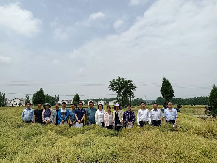 1621477602306370.jpg 图1.jpg