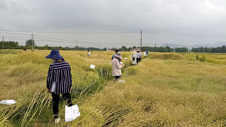 1621477621814636.jpg 图2.jpg