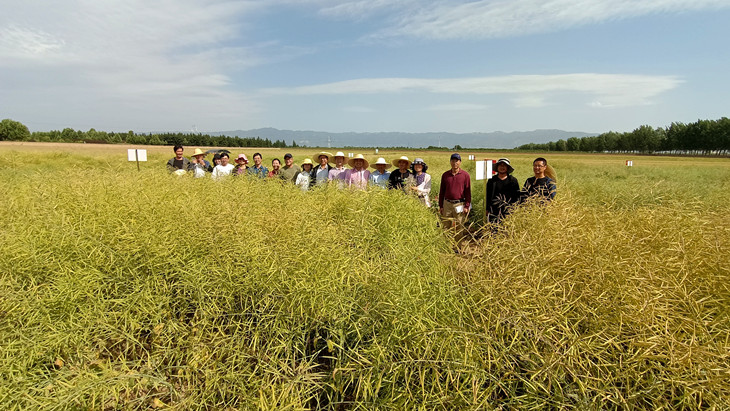 1622430666686922.jpg 图1(1)_副本.jpg