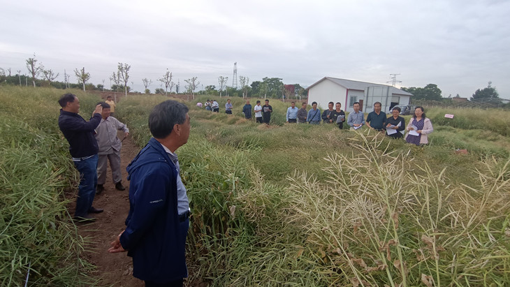 1622430683936061.jpg 图2_副本.jpg