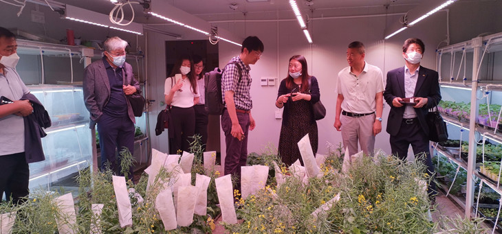 1622803163564552.jpg 2_副本.jpg