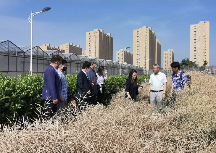 1622803179755565.jpg 3_副本.jpg