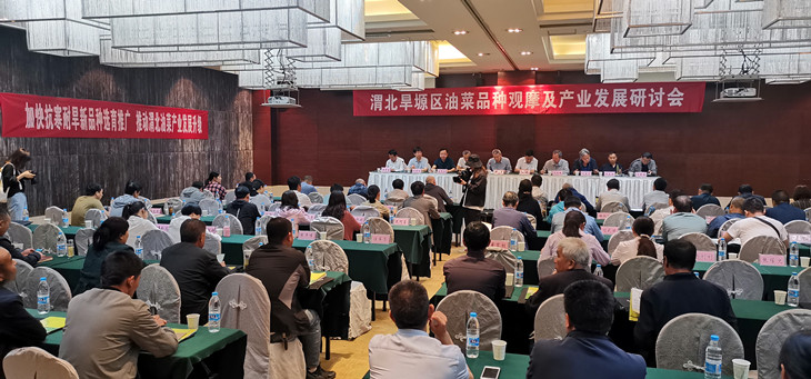 1624325642511249.jpg 1_副本.jpg