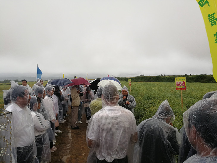 1624325654980276.jpg 2_副本.jpg