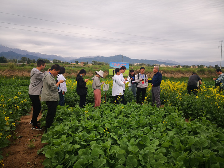 1625110494708952.jpg 2_副本.jpg