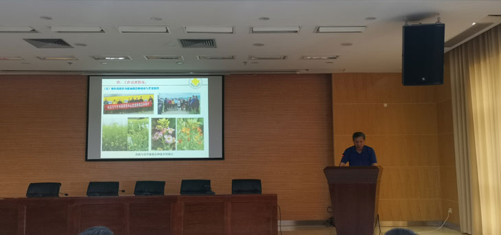 1627033551569181.jpg 2-1(730).jpg