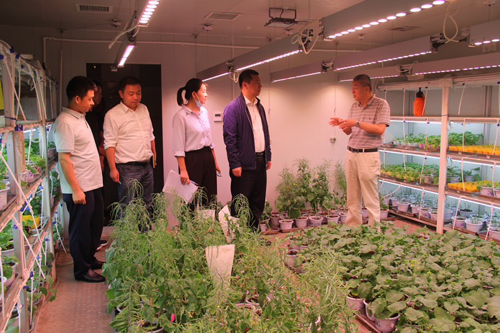 1630651968131800.jpg 3_副本.jpg