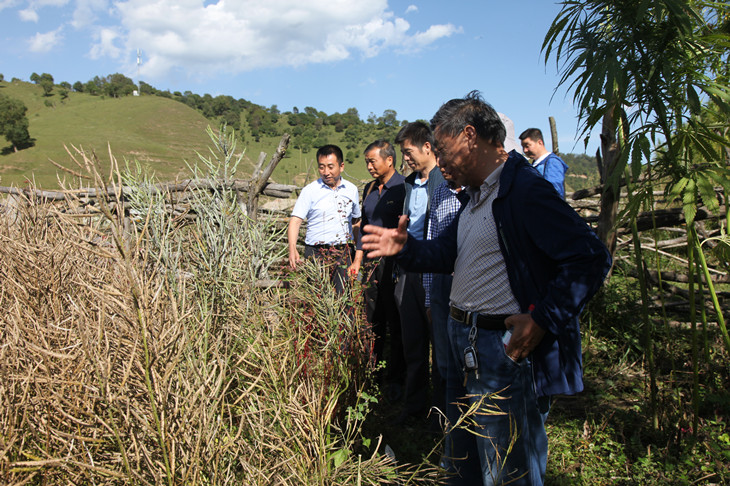 1631495978950076.jpg 2_副本.jpg