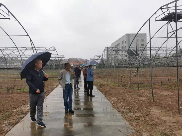 1632800068526955.jpg 3_副本.jpg