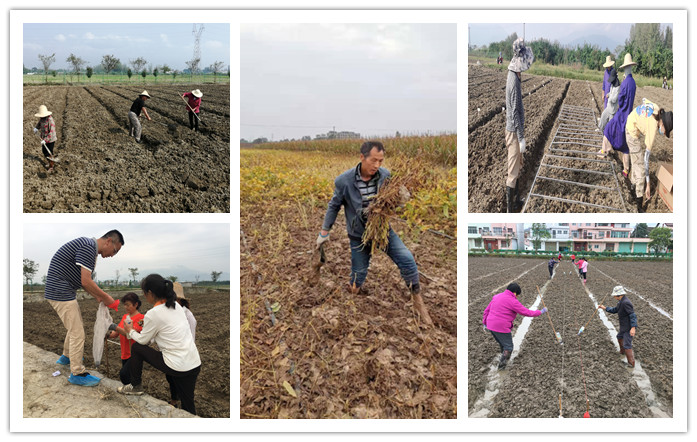 1635213575710867.jpg 222.jpg