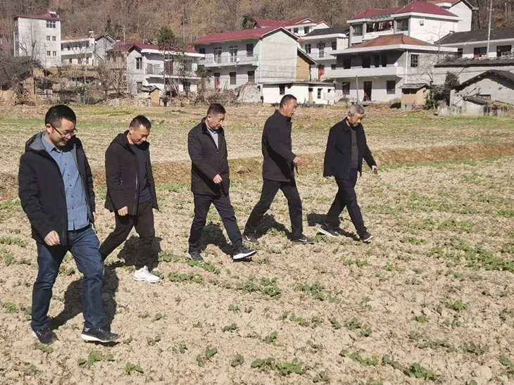 1638755862841445.jpg 1_副本.jpg