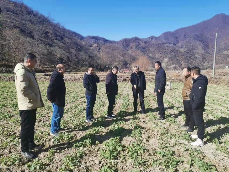 1638755876344743.jpg 2_副本.jpg