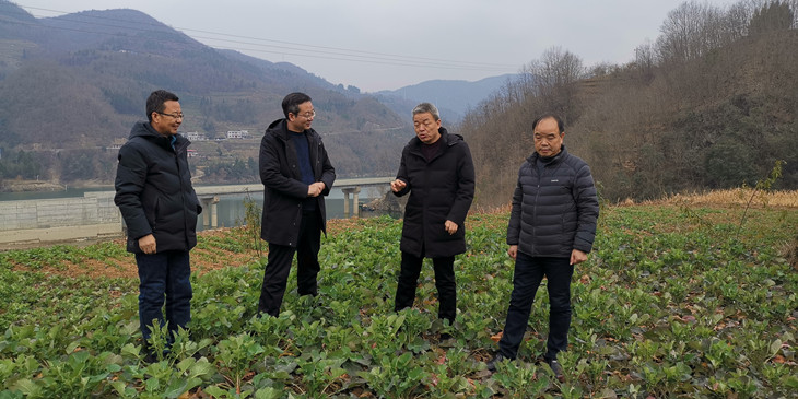 1644902814716710.jpg 2_副本.jpg