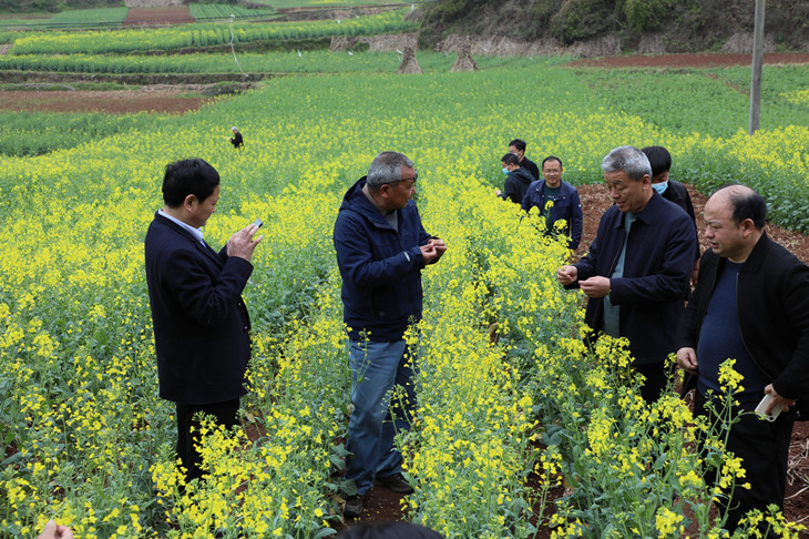 1648686903646882.jpg 2_副本.jpg