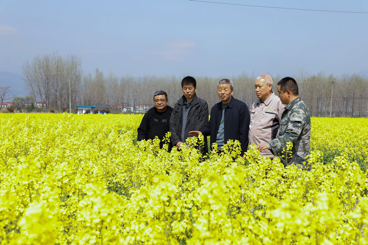 1648686934136491.jpg 3_副本.jpg