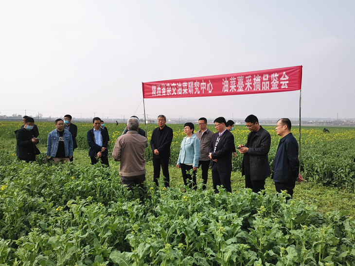 1648862797755881.jpg 2_副本.jpg