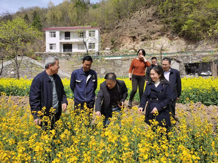 1649322212173841.png 图片1_副本.png