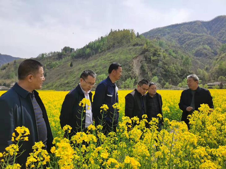 1649322223311153.png 图片2_副本.png