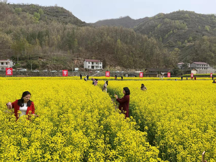 1649322253600755.png 图片4_副本.png