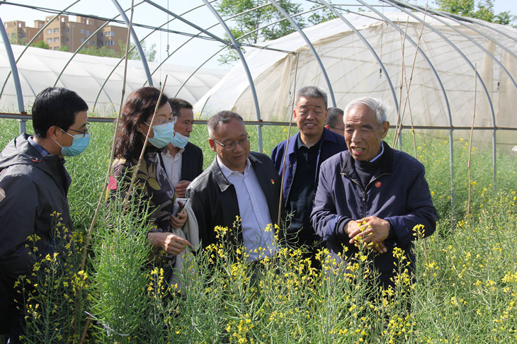 1650875079940550.jpg 2_副本.jpg