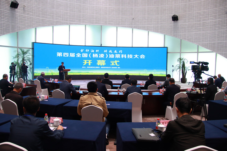 1652326366338449.jpg 1_副本.jpg