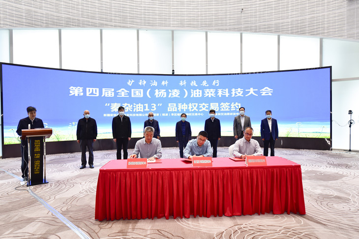 1652326408827178.jpg 2_副本.jpg