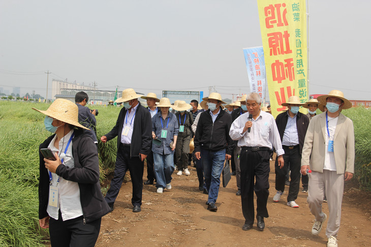 1652326460945179.jpg 4_副本.jpg