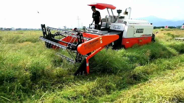 1652780486131775.jpg 图二_副本.jpg