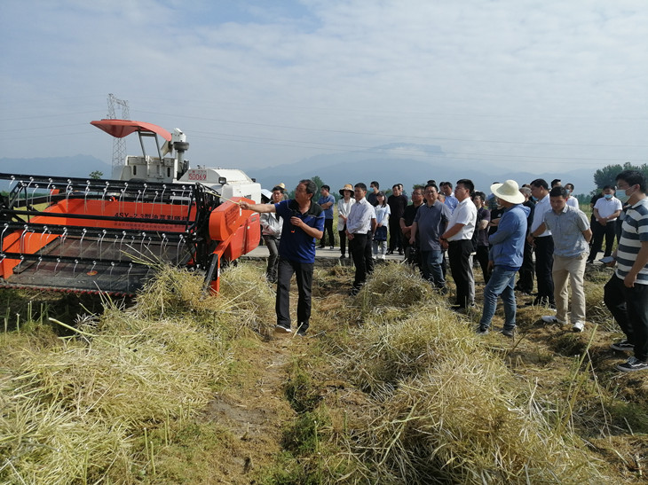 1652780924670494.jpg 图三_副本.jpg