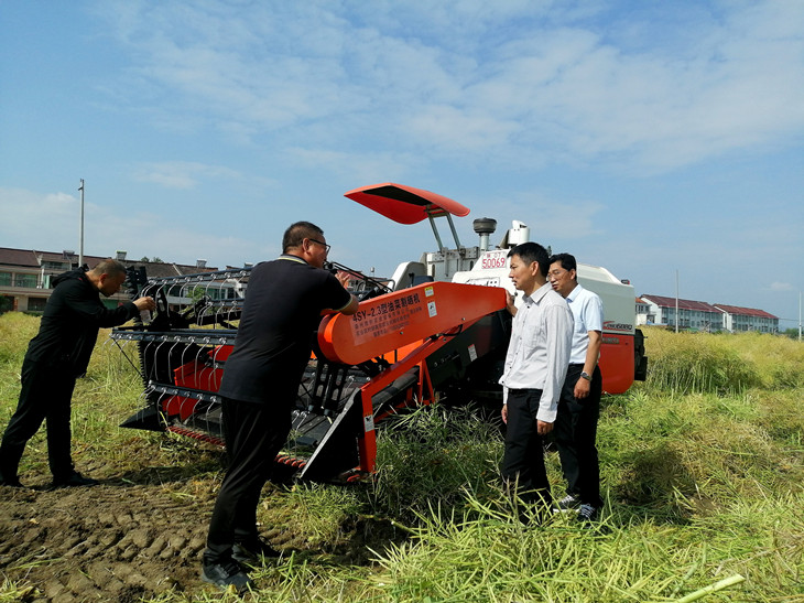 1652780936400391.jpg 图四_副本.jpg