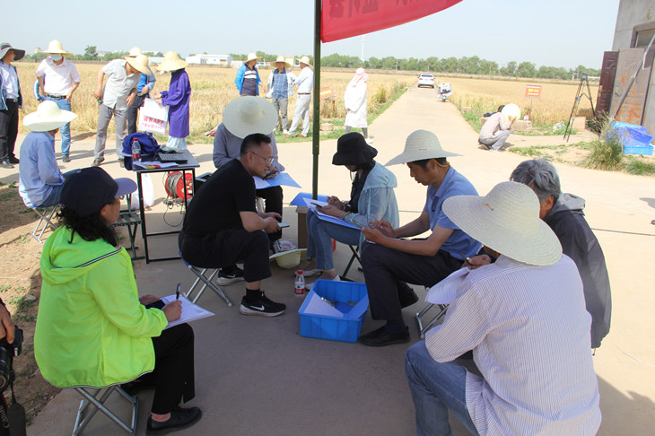 1653967969195684.jpg 1._副本.jpg