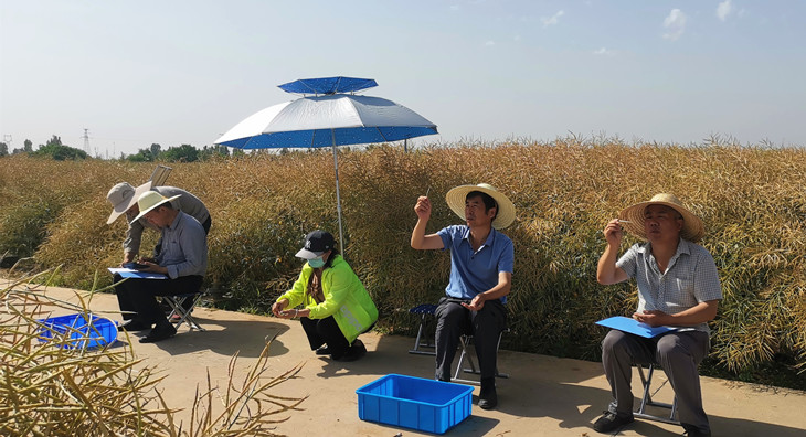 1653967995362242.jpg 2.._副本.jpg