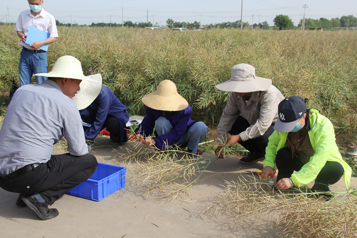 1653968008886778.jpg 4._副本.jpg