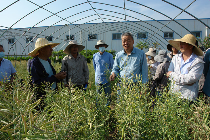 1654072103266969.jpg 1_副本.jpg