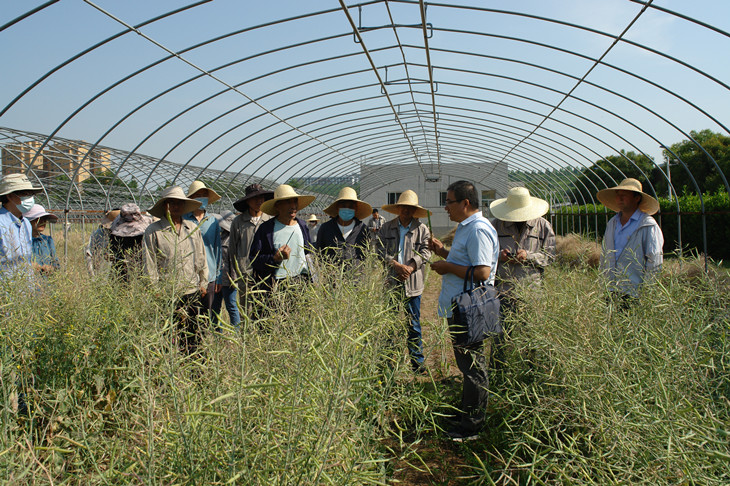 1654072114900871.jpg 2_副本.jpg