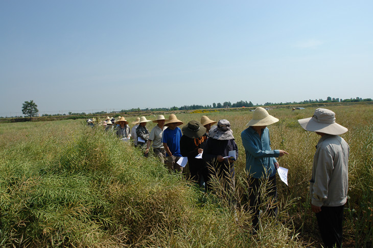 1654072132105962.jpg 3_副本.jpg