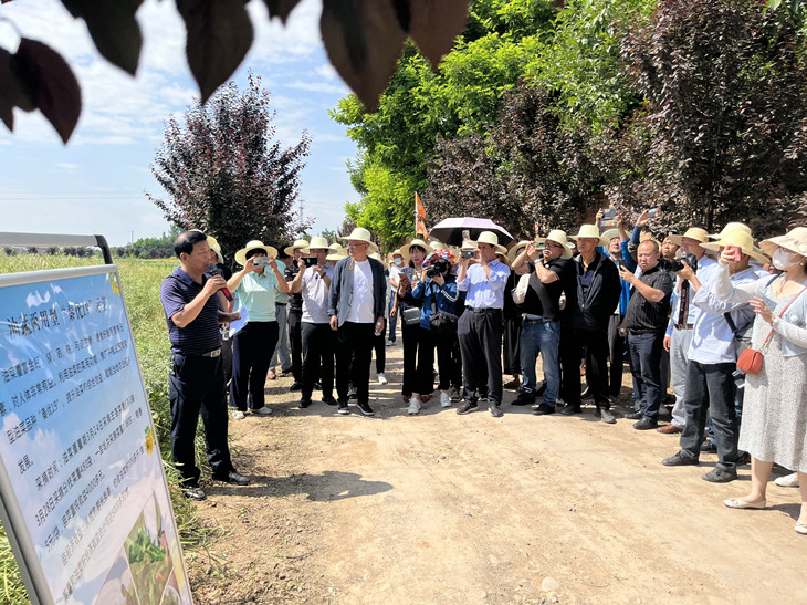 1654567378704973.jpg 2_副本.jpg