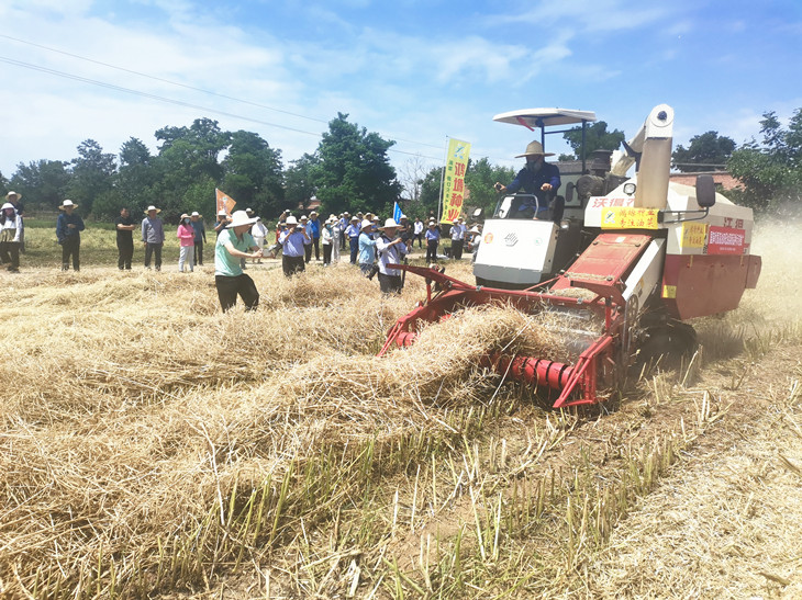 1654567390321347.jpg 3_副本.jpg